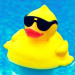 Rubber Duck