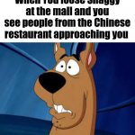 Scooby-Doo | When You loose Shaggy at the mall and you see people from the Chinese restaurant approaching you | image tagged in scooby-doo,memes | made w/ Imgflip meme maker