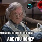angry grandma | ARE YOU HONEY; YOUR NOT GOING TO PUT ME IN A HOME | image tagged in angry grandma | made w/ Imgflip meme maker