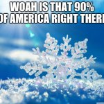 snowflakes | WOAH IS THAT 90% OF AMERICA RIGHT THERE | image tagged in snowflake | made w/ Imgflip meme maker