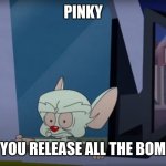 The Brain Rearview | PINKY; DID YOU RELEASE ALL THE BOMBS? | image tagged in the brain rearview | made w/ Imgflip meme maker