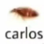 Carlos