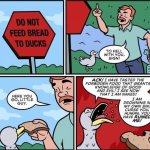 Do not feed bread to ducks meme