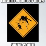 Bionic Mosquitos | FLORIDA WILL RELEASE UP TO A BILLION GENETICALLY ENGINEERED MOSQUITOS IN THE KEYS; WHAT COULD POSSIBLY GO WRONG | image tagged in mosquito,weird science,funny,politics | made w/ Imgflip meme maker