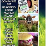 VEGAN COMPANIES ARE BRAGGING ABOUT MAKING  PLANTS TASTE LIKE MEAT..!? COWS HAVE BEEN DOING THAT FOREVER..!! | image tagged in meat,hamburger,vegan,company,memes,cows | made w/ Imgflip meme maker