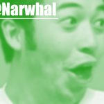 narwhal pog temp