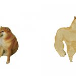 Cheems vs Buff Doge meme