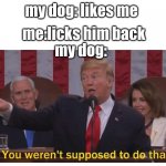 you werent supposed to do that | me:licks him back; my dog: likes me; my dog: | image tagged in you werent supposed to do that | made w/ Imgflip meme maker