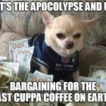 chihuahua money | IT'S THE APOCOLYPSE AND U; BARGAINING FOR THE LAST CUPPA COFFEE ON EARTH | image tagged in chihuahua money | made w/ Imgflip meme maker