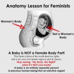 Anatomy Lesson for Feminists