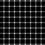 find the black dot