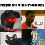 You did what? | Me: -Lets the "lizard" out of his box for a walk-; Everyone else at the SCP Foundation:; BRUH; D-5197; What in the SCPF; OH NO | image tagged in scp,everyone else at x,what in the scpf,oh no,bruh,squidward | made w/ Imgflip meme maker