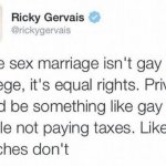Ricky Gervais same-sex marriage