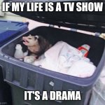 Awesome Opossum | IF MY LIFE IS A TV SHOW; IT'S A DRAMA | image tagged in awesome opossum | made w/ Imgflip meme maker
