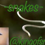 Kingofsnakes template by nezuko_official