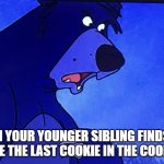 baloo | WHEN YOUR YOUNGER SIBLING FINDS OUT YOU ATE THE LAST COOKIE IN THE COOKIE JAR | image tagged in you said what | made w/ Imgflip meme maker