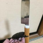 Beetle holding a knife