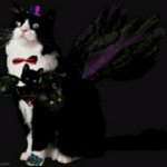Cyber Cat | image tagged in cyber cat | made w/ Imgflip meme maker