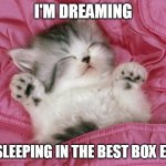 kitten sleeping | I'M DREAMING; OF SLEEPING IN THE BEST BOX EVER | image tagged in kitten sleeping,memes | made w/ Imgflip meme maker