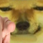 Pointing Doge meme