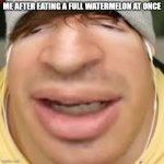 E | ME AFTER EATING A FULL WATERMELON AT ONCE | image tagged in e,dumb | made w/ Imgflip meme maker