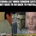 very confuzled | COBRA LILY WHEN SUNDEW SAYS THEY HAVE TO GO BACK TO PANTALA: | image tagged in wings of fire,funy | made w/ Imgflip meme maker