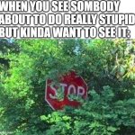 I told them not to do it. | WHEN YOU SEE SOMBODY ABOUT TO DO REALLY STUPID BUT KINDA WANT TO SEE IT: | image tagged in funny,meme,stupid people | made w/ Imgflip meme maker