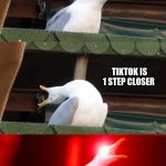 Inhaling seagull | EVERYTIME THIS MEME IS UPVOTED; TIKTOK IS 1 STEP CLOSER; TO BEING BANNED | image tagged in inhaling seagull | made w/ Imgflip meme maker