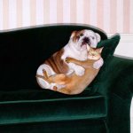 Cat and dog in scandalous photo