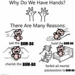 Hands for Bum-bo | BUM-BO; BUM-BO; BUM-BO; BUM-BO | image tagged in why do we have hands | made w/ Imgflip meme maker