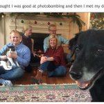 Dog photobombs family picture