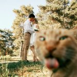 Cat photobombs couple kissing