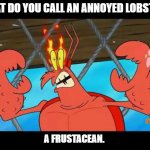 Daily Bad Dad Joke April 30 2021 | WHAT DO YOU CALL AN ANNOYED LOBSTER? A FRUSTACEAN. | image tagged in larry the lobster | made w/ Imgflip meme maker