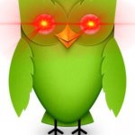 Duolingo | YOUR SPANISH LESSON; IS READY | image tagged in 2012 duolingo owl | made w/ Imgflip meme maker