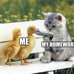 cat gun | MY HOMEWORK; ME | image tagged in cat gun | made w/ Imgflip meme maker