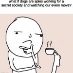 Guy holding a tea cup with a foot | what if dogs are spies working for a secret society and watching our every move? | image tagged in guy holding a tea cup with a foot | made w/ Imgflip meme maker
