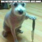 dog with knife | WHEN I TAKE TO LONG TO LET MY DOG OUTSIDE AND THE SQUIRREL GOES AWAY | image tagged in dog with knife | made w/ Imgflip meme maker
