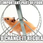 Make Change Routine | THE MOST IMPORTANT PART OF YOUR ROUTINE; IS TO CHANGE IT REGULARLY | image tagged in hamster wheel | made w/ Imgflip meme maker