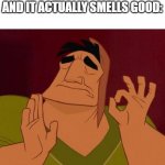 It is quite satisfying, I must say | THAT FEELING WHEN YOU ENTER A PUBLIC BATHROOM AND IT ACTUALLY SMELLS GOOD: | image tagged in pacha perfect,bathroom humor,bathroom,smells,perfection,perfect | made w/ Imgflip meme maker