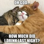 Three cats hugging | OH GOD... HOW MUCH DID I DRINK LAST NIGHT? | image tagged in three cats hugging | made w/ Imgflip meme maker
