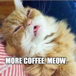 Cat sleepy | MORE COFFEE. MEOW. | image tagged in cat sleepy | made w/ Imgflip meme maker