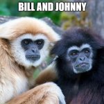 Bill and Johnny | BILL AND JOHNNY | image tagged in two gibbons,monke,monkeys,monkey,gibbon,gibbons | made w/ Imgflip meme maker