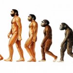 human evolution reverse