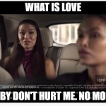 what is love | WHAT IS LOVE; BABY DON'T HURT ME. NO MORE. | image tagged in what is love girl edition,what is love,ads | made w/ Imgflip meme maker
