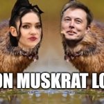 Elon Muskrat Love! | ELON MUSKRAT LOVE | image tagged in elon muskrat love,elon musk,love,true love,grimes,claire elise boucher | made w/ Imgflip meme maker