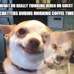 Calm but Angry chihuahua | CHATTERS DURING MORNING COFFEE TIME; WHAT UR REALLY THINKING WHEN UR GUEST | image tagged in calm but angry chihuahua | made w/ Imgflip meme maker