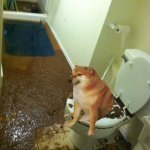 poop | IS HE OK? | image tagged in poop | made w/ Imgflip meme maker