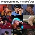 star trek face palm | my ancestors that got stabbed with stones watching me cry for stubbing my toe on the wall | image tagged in star trek face palm | made w/ Imgflip meme maker