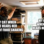 Mundane Kane | MY CAT WHEN SHE HEARS HER BOWL OF FOOD SHAKING; MY CAT WHEN SHE HEARS HER NAME | image tagged in mundane kane,undertaker,kane,wwe,memes | made w/ Imgflip meme maker