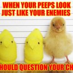 Line Up | WHEN YOUR PEEPS LOOK JUST LIKE YOUR ENEMIES; YOU SHOULD QUESTION YOUR CHOICES | image tagged in peeps in line up,memes,funny,funny memes,seriously | made w/ Imgflip meme maker